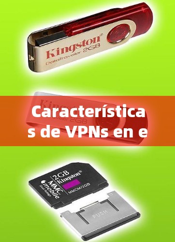 Características de VPNs en el mbito de la scientific上网: Características de VPNs en el mbito de la scientific上网: