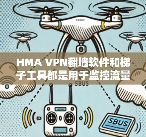 HMA VPN翻墙软件和<strong>梯子</strong>工具都是用于监控流量和控制访问的工具，但在功能、适用场景和使用方法上有所不同。以下是针对这两个工具的详细评测