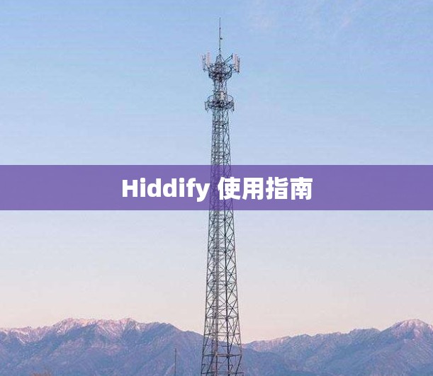 Hiddify 使用指南
