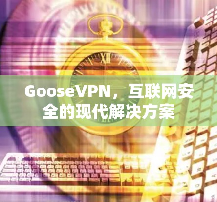 GooseVPN,互联网安全的现代解决方案 GooseVPN,互联网安全的现代解决方案