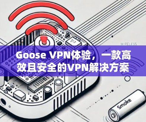 Goose VPN体验,一款高效且安全的VPN解决方案 Goose VPN体验,一款高效且安全的VPN解决方案