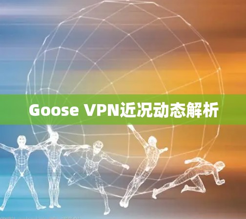 Goose VPN近况动态解析 Goose VPN近况动态解析