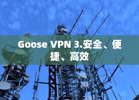Goose VPN 3.安全、便捷、高效