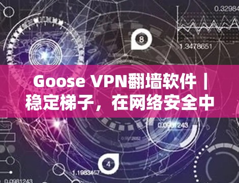 Goose VPN翻墙软件｜稳定<strong>梯子</strong>，在网络安全中守护前行者
