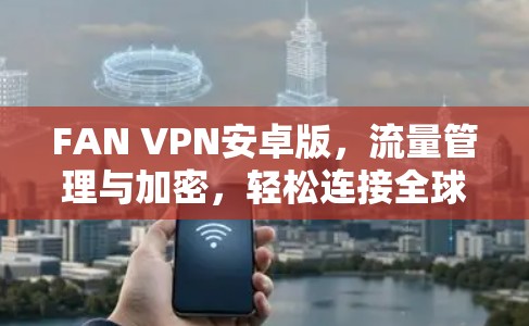 FAN VPN安卓版，流量管理与加密，轻松连接全球IP