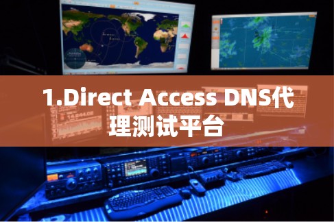 1.Direct Access DNS代理测试平台